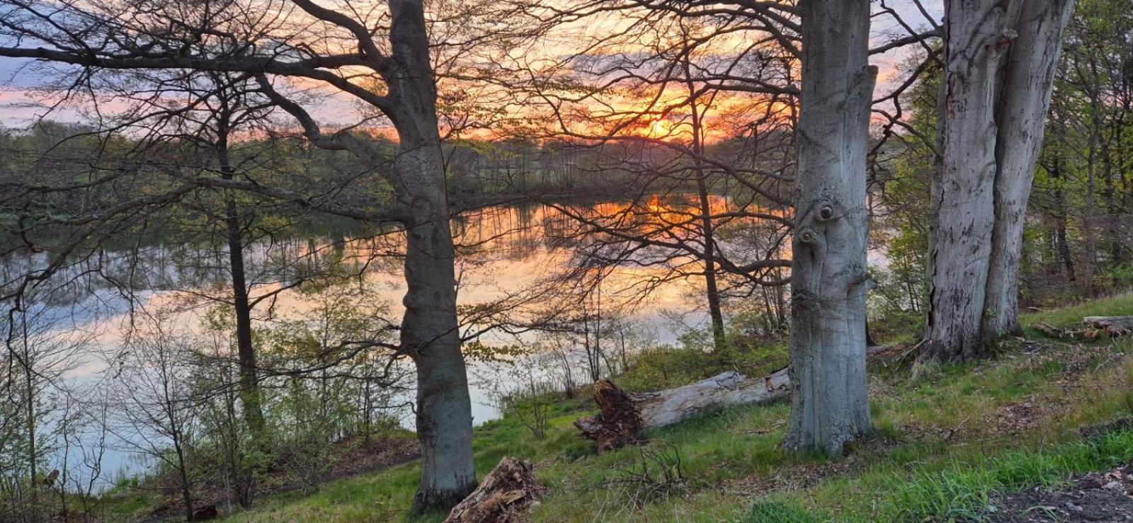 Domek Nad Jeziorem Bystrzyna Świdwin Exteriör bild